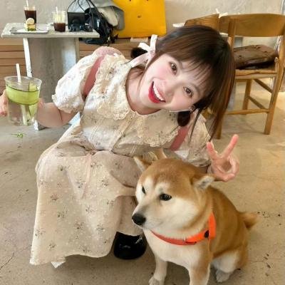 红犬历险记