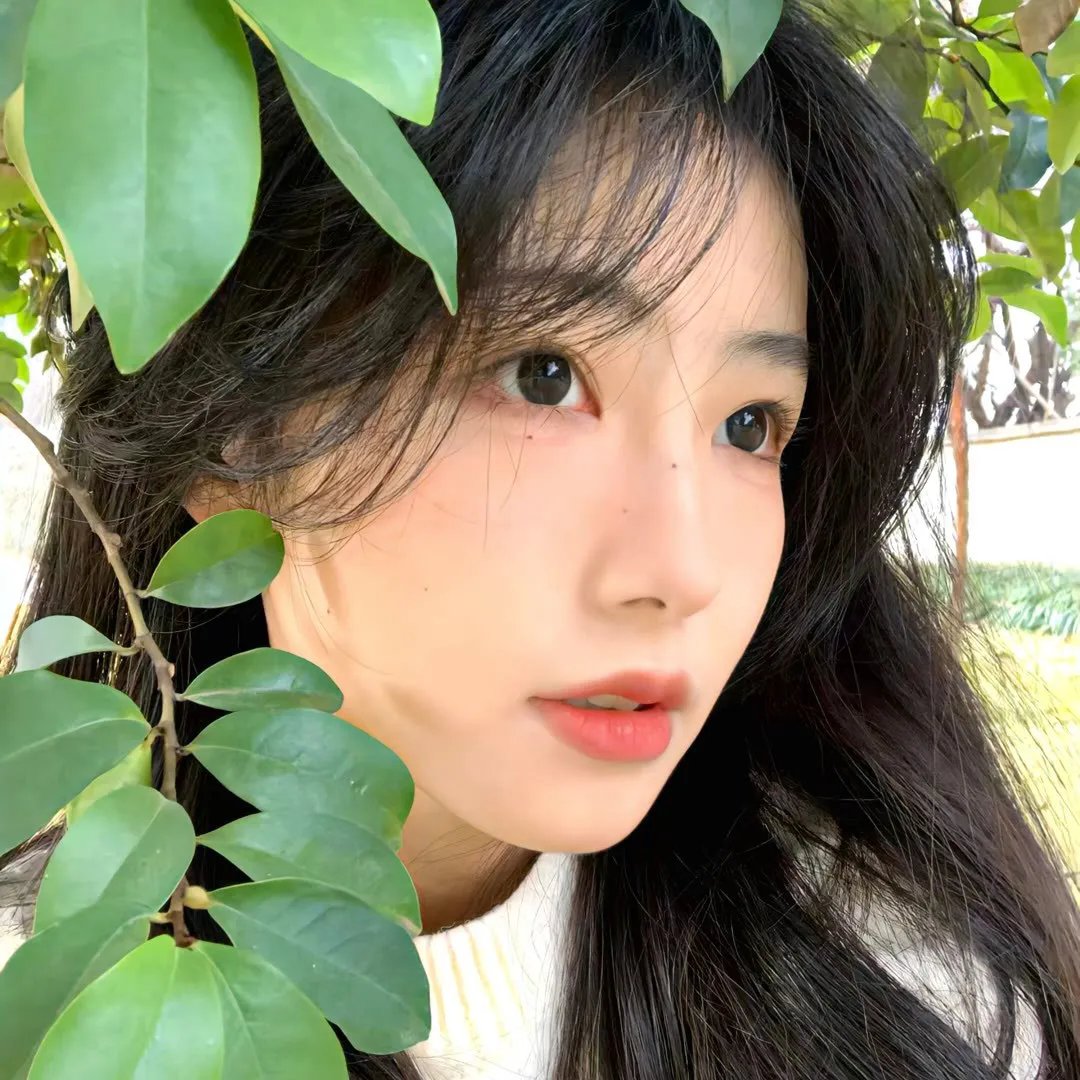 汉谟拉比小姐
